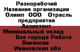 Разнорабочий › Название организации ­ Олимп, ООО › Отрасль предприятия ­ Ассистент › Минимальный оклад ­ 25 000 - Все города Работа » Вакансии   . Ивановская обл.